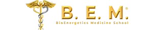 B.E.M. School